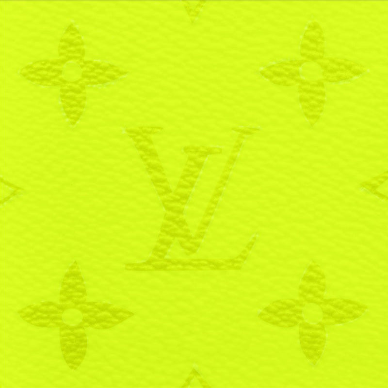 LV オーガナイザー・ドゥ ポッシュ Ref:M30949